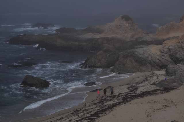 Bodega Head